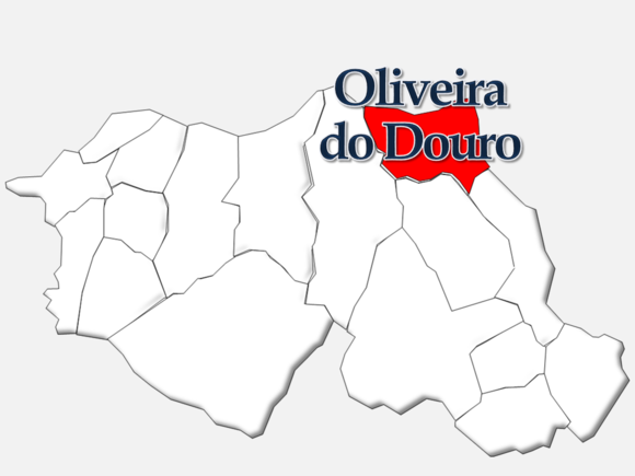 Phone numbers of Prostitutes in Oliveira do Douro, Porto