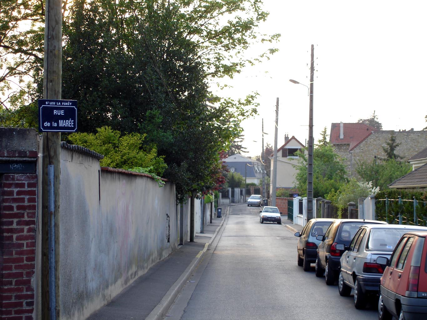 Telephones of Prostitutes in Saint-Leu-la-Foret (FR)